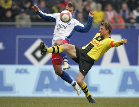 供了借鉴 供了借鉴