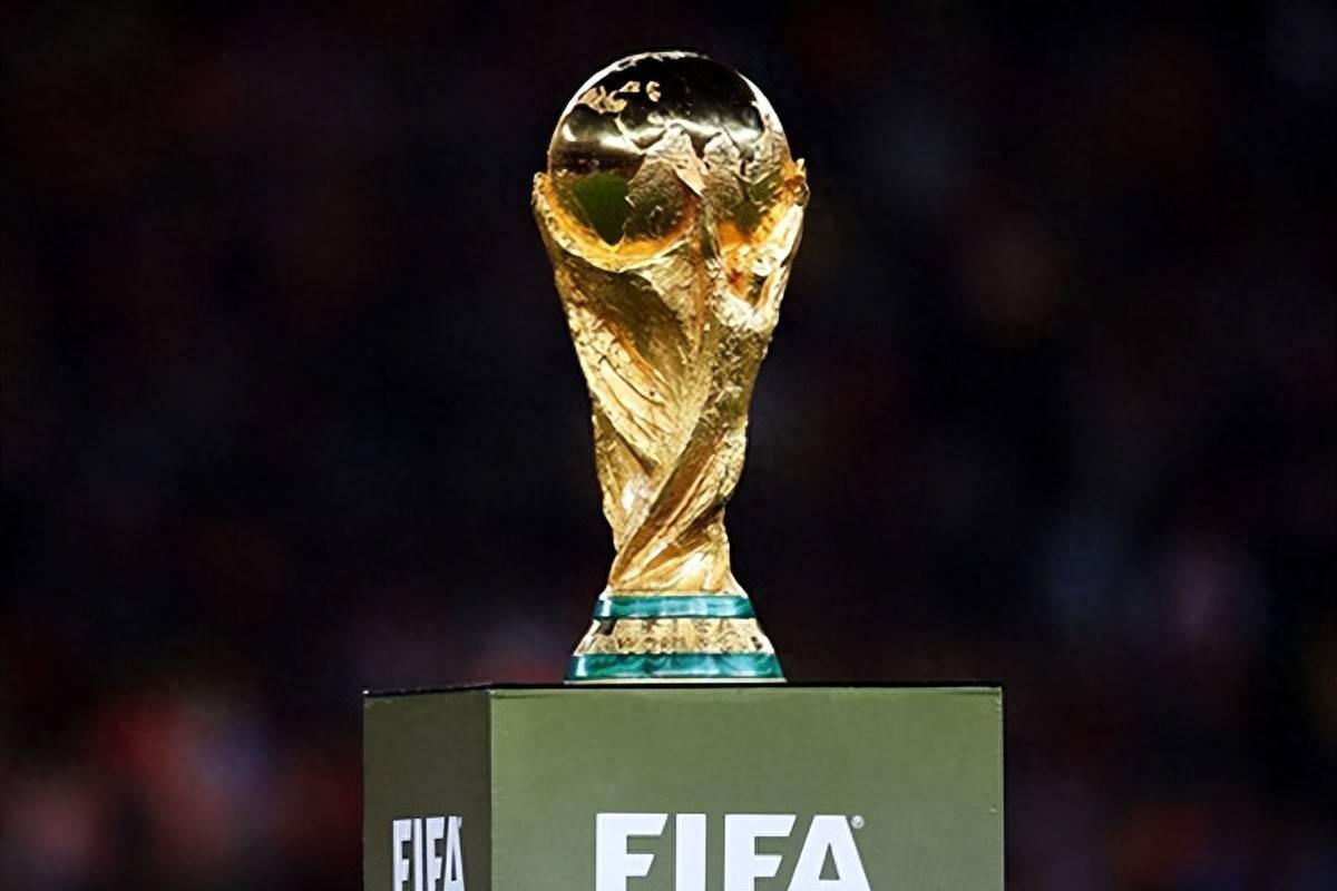 试训邀请 试训邀请